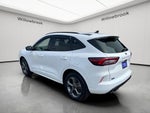 2023 Ford Escape Hybrid ST-Line Select