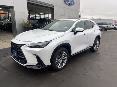 2022 Lexus NX 350h Premium