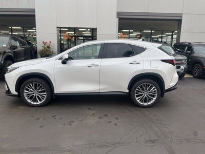 2022 Lexus NX 350h Premium