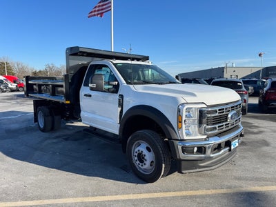 2025 Ford F-450SD XL 11' Rugby Steel Dump