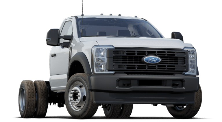 2025 Ford F-450SD XL 11' Rugby Steel Dump
